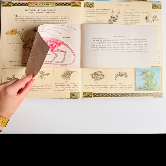 Dragonology The Complete Book of Dragons, Dragon Calling Spell Pop Up Style Book - Picture 8 of 13